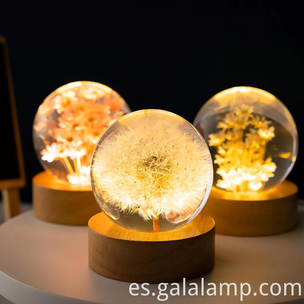 Luz eterna de la noche de flores, el regalo que nunca se marchita